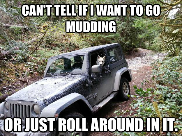 Can't tell if I want to go mudding Or just roll around in it. - Can't tell if I want to go mudding Or just roll around in it.  Jeep Dog