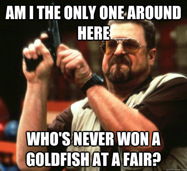 am I the only one around here Who's never won a goldfish at a fair?  Angry Walter