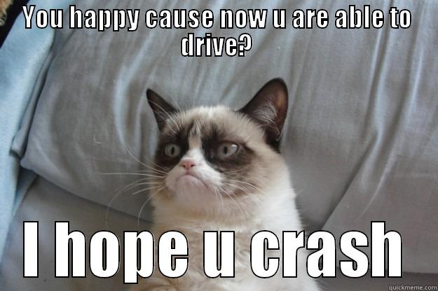 YOU HAPPY CAUSE NOW U ARE ABLE TO DRIVE? I HOPE U CRASH Grumpy Cat