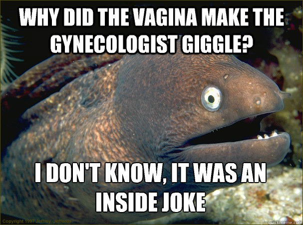 Why did the vagina make the gynecologist giggle? I don't know, it was an inside joke  Bad Joke Eel