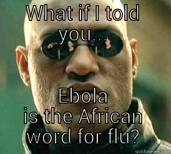 WHAT IF I TOLD YOU... EBOLA IS THE AFRICAN WORD FOR FLU? Matrix Morpheus