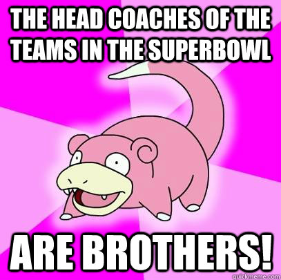 The head coaches of the teams in the superbowl are BROTHERS!  Slowpoke