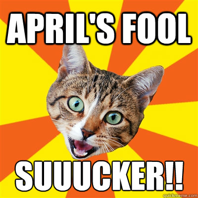 April's Fool SUUUCKER!!  Bad Advice Cat