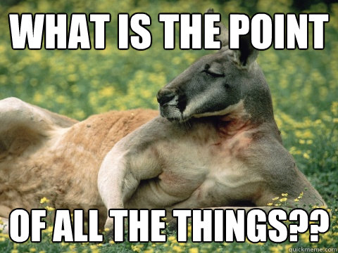 What is the point of all the things??  Quickmeme Critic Kangaroo