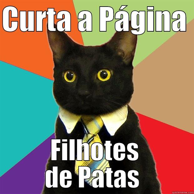 CURTA A PÁGINA  FILHOTES DE PATAS  Business Cat