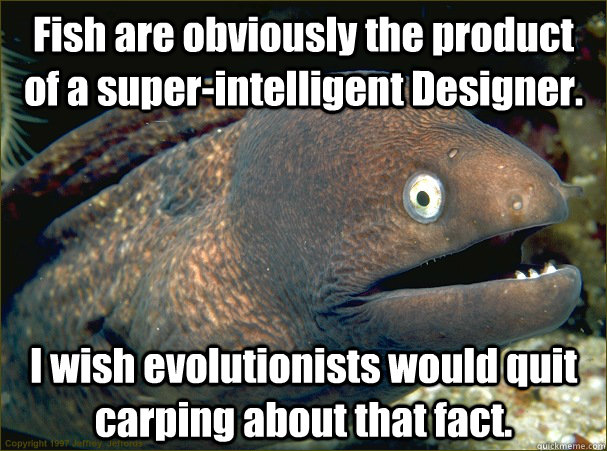 Fish are obviously the product of a super-intelligent Designer. I wish evolutionists would quit carping about that fact. - Fish are obviously the product of a super-intelligent Designer. I wish evolutionists would quit carping about that fact.  Bad Joke Eel