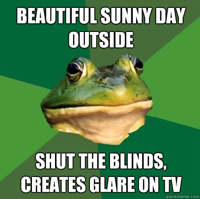 beautiful sunny day outside shut the blinds, creates glare on tv - beautiful sunny day outside shut the blinds, creates glare on tv  Foul Bachelor Frog