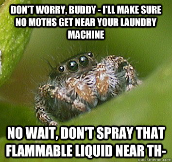 Don't worry, buddy - I'll make sure no moths get near your laundry machine No wait, don't spray that flammable liquid near th- - Don't worry, buddy - I'll make sure no moths get near your laundry machine No wait, don't spray that flammable liquid near th-  Misunderstood Spider