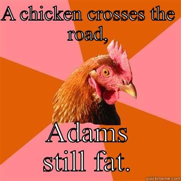 A CHICKEN CROSSES THE ROAD, ADAMS STILL FAT. Anti-Joke Chicken