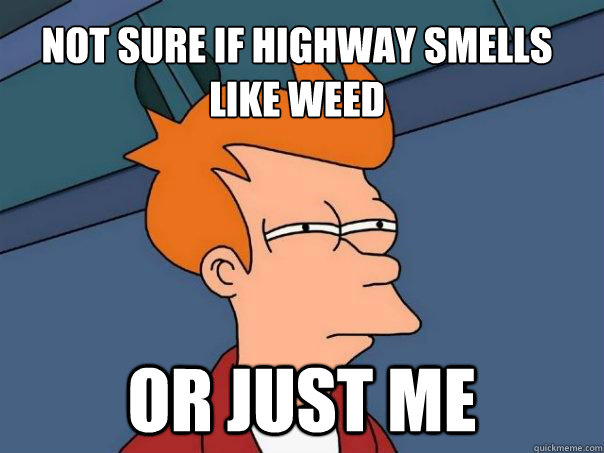 not sure if highway smells like weed Or just me  Futurama Fry