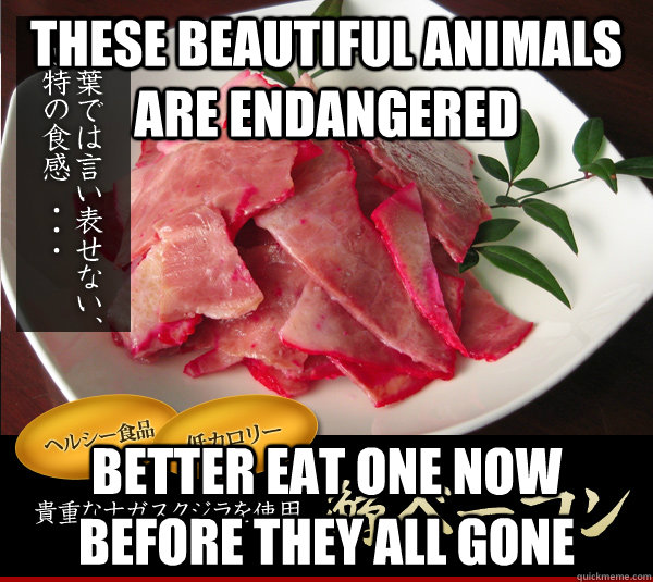 these beautiful animals are endangered better eat one now before they all gone  Narwhal Bacon