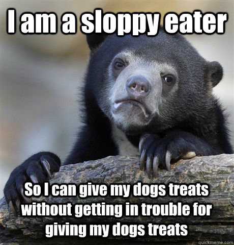 I am a sloppy eater So I can give my dogs treats without getting in trouble for giving my dogs treats  Confession Bear