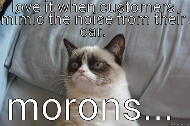 LOVE IT WHEN CUSTOMERS MIMIC THE NOISE FROM THEIR CAR. MORONS... Grumpy Cat