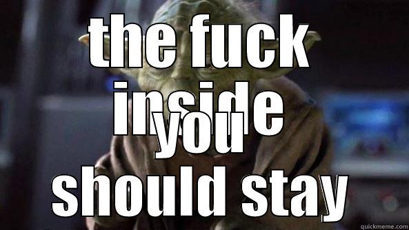 THE FUCK INSIDE YOU SHOULD STAY True dat, Yoda.