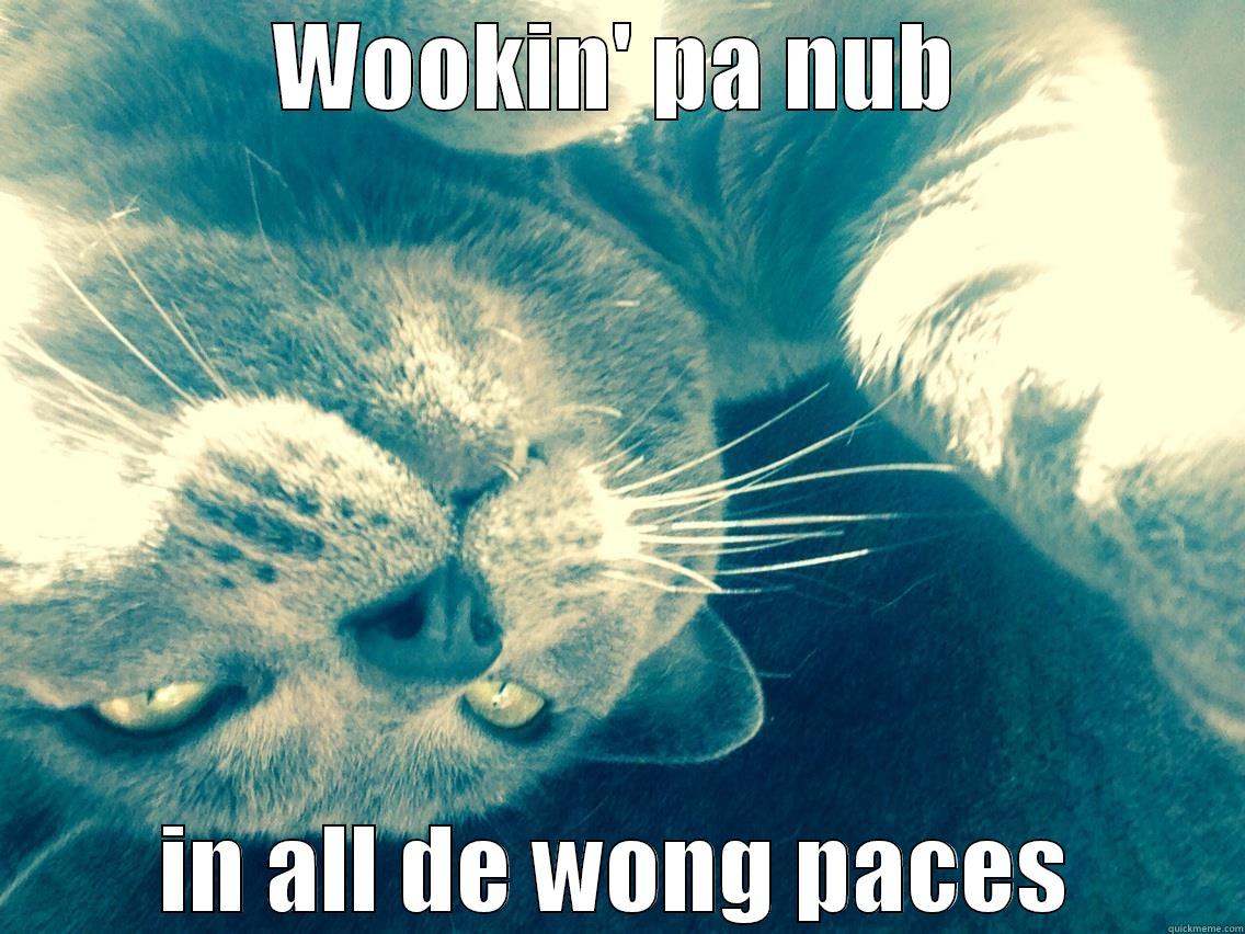 WOOKIN' PA NUB IN ALL DE WONG PACES Misc