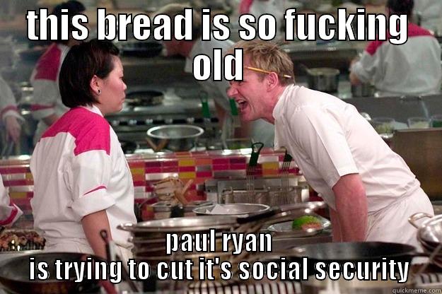 THIS BREAD IS SO FUCKING OLD PAUL RYAN IS TRYING TO CUT IT'S SOCIAL SECURITY Gordon Ramsay