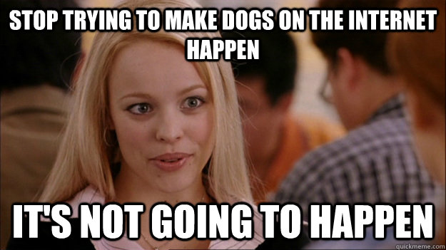 STOP TRYING TO MAKE dogs on the internet happen IT'S NOT GOING TO HAPPEN - STOP TRYING TO MAKE dogs on the internet happen IT'S NOT GOING TO HAPPEN  Stop trying to make happen Rachel McAdams