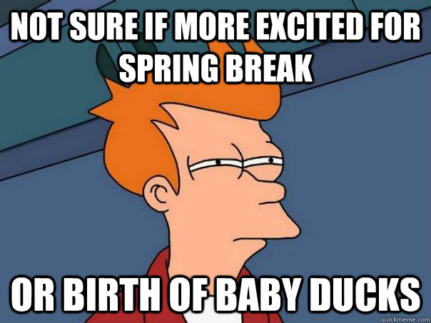 not sure if more excited for spring break Or birth of baby ducks - not sure if more excited for spring break Or birth of baby ducks  Futurama Fry