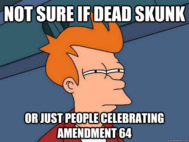 Not sure if dead skunk Or just people celebrating amendment 64  Futurama Fry