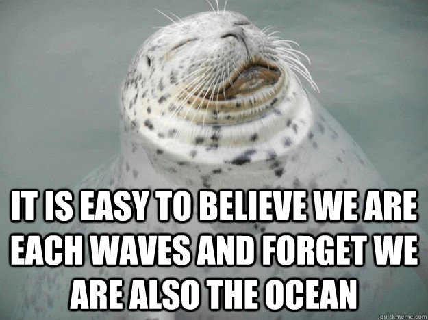 It is easy to believe we are each waves and forget we are also the ocean  Zen Seal
