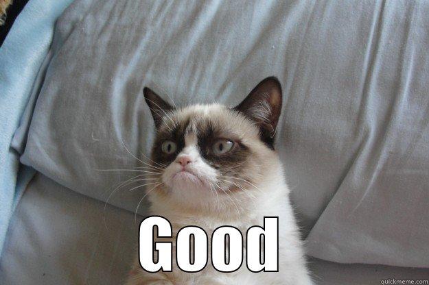 So everyone at the Alamo died? -  GOOD Grumpy Cat