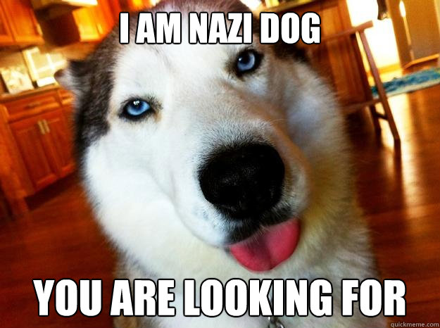 i am nazi dog you are looking for  