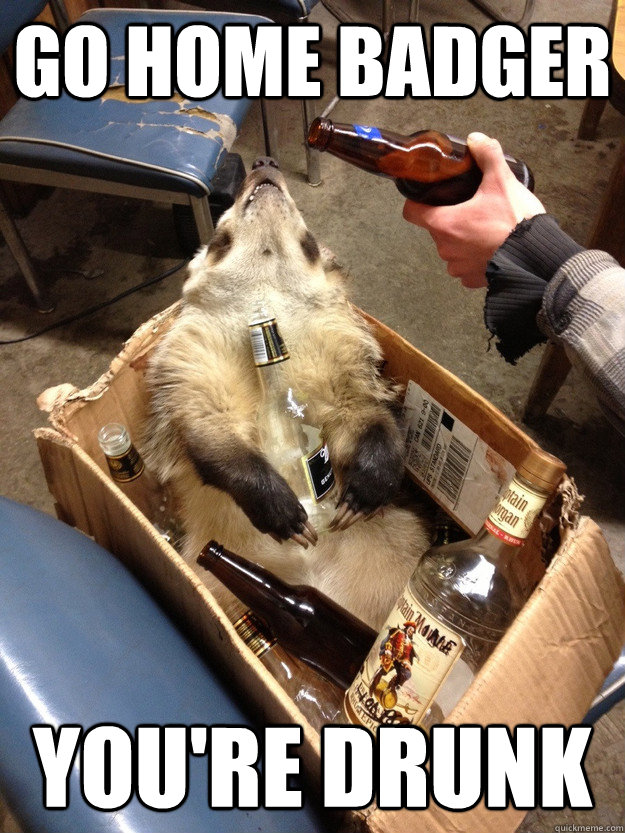 Go home Badger You're Drunk - Drunk Badger - quickmeme