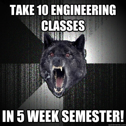 Take 10 engineering classes In 5 week semester!  Insanity Wolf