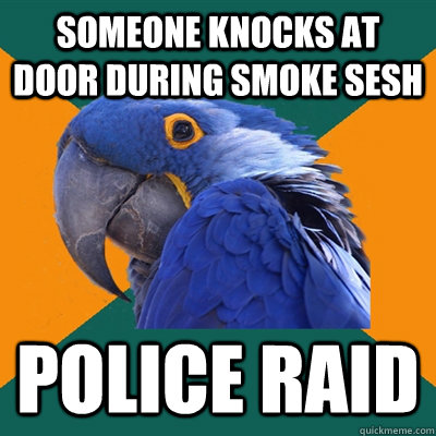 someone knocks at door during smoke sesh Police raid - someone knocks at door during smoke sesh Police raid  Paranoid Parrot