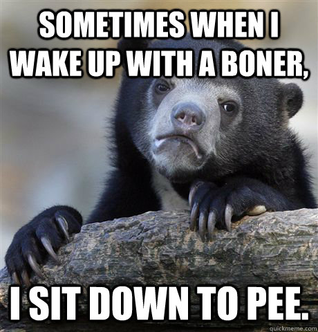 Sometimes when I wake up with a boner, I sit down to pee.  Confession Bear