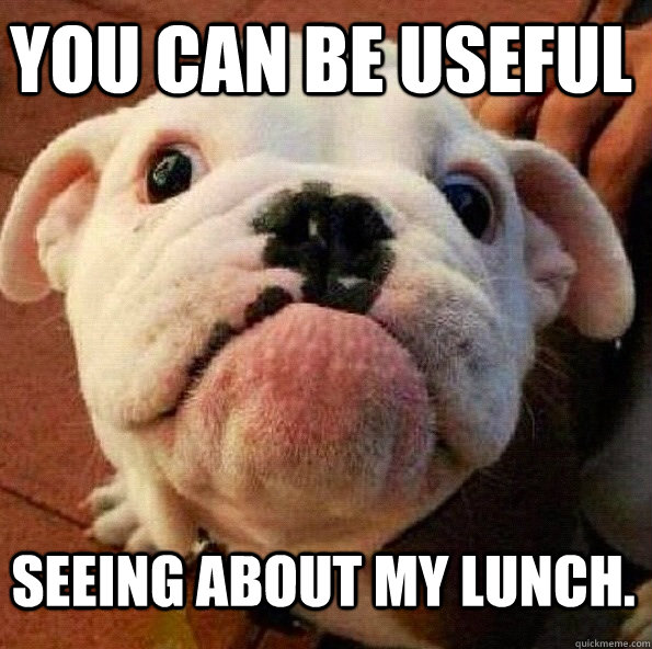 You can be useful seeing about my lunch.  mason dog