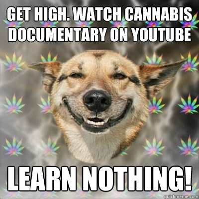 Get high. watch cannabis documentary on youtube learn nothing!  Stoner Dog