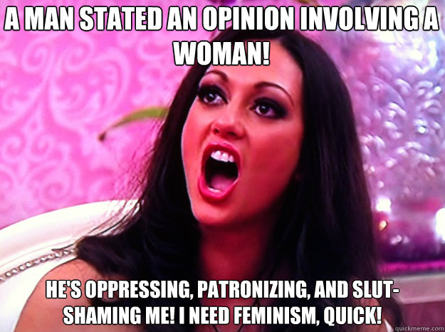 A man stated an opinion involving a woman! He's oppressing, patronizing, and slut-shaming me! I need feminism, quick!  Feminist Nazi