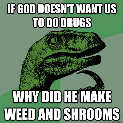 if god doesn't want us to do drugs why did he make weed and shrooms  Philosoraptor