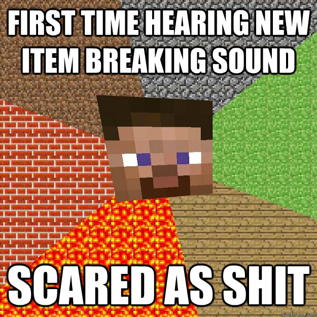 First time hearing new item breaking sound scared as shit - First time hearing new item breaking sound scared as shit  Minecraft