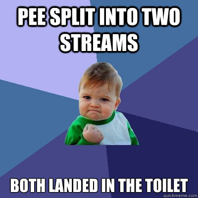 Pee split into two streams Both landed in the toilet  Success Kid