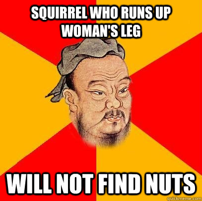 Squirrel who runs up woman's leg will not find nuts  Confucius says