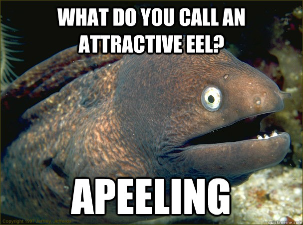 What do you call an attractive eel? Apeeling - What do you call an attractive eel? Apeeling  Bad Joke Eel