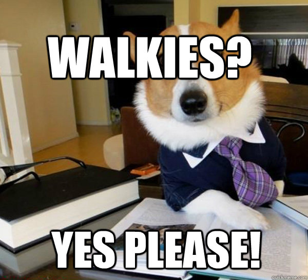 Walkies? Yes please!  Lawyer Dog