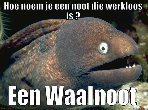 HOE NOEM JE EEN NOOT DIE WERKLOOS IS ? EEN WAALNOOT Bad Joke Eel