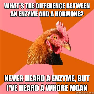 What's the difference between an enzyme and a hormone? Never heard a enzyme, but I've heard a whore moan  Anti-Joke Chicken