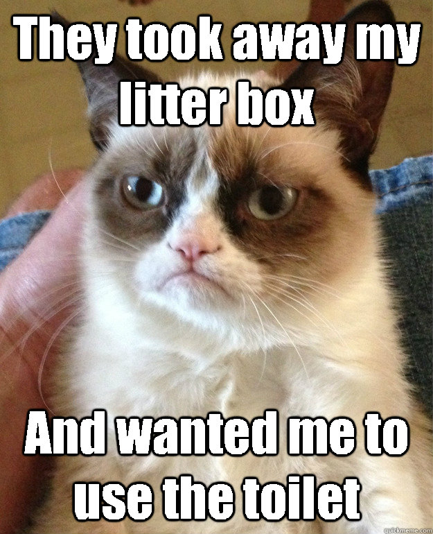 They took away my litter box And wanted me to use the toilet  Grumpy Cat