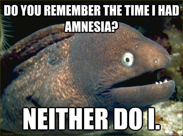 Do You Remember the Time I had Amnesia? Neither do I. - Do You Remember the Time I had Amnesia? Neither do I.  Bad Joke Eel