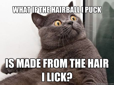 What if the hairball I puck is made from the hair I lick?  conspiracy cat