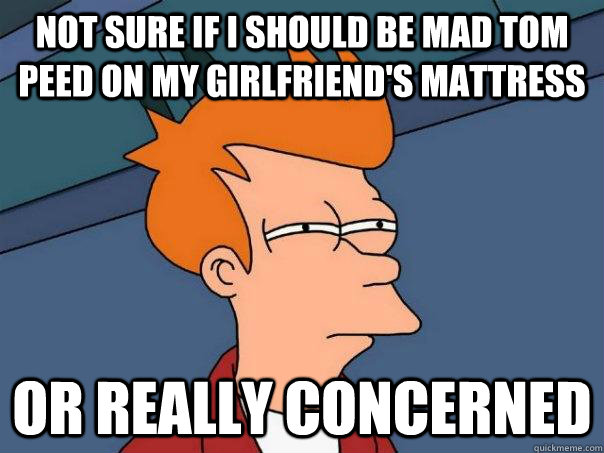 Not sure if I should be mad Tom peed on my girlfriend's mattress Or really concerned  Futurama Fry