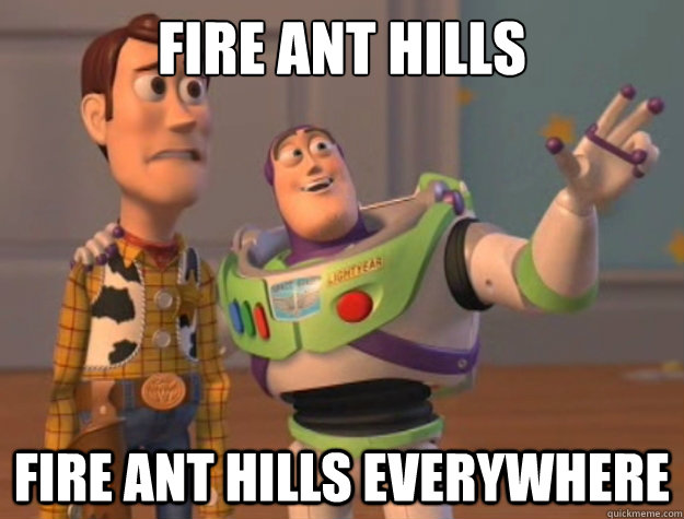 Fire Ant Hills Fire Ant Hills everywhere  Buzz Lightyear