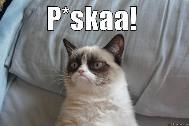 Mitä kuuluu? - P*SKAA!  Grumpy Cat