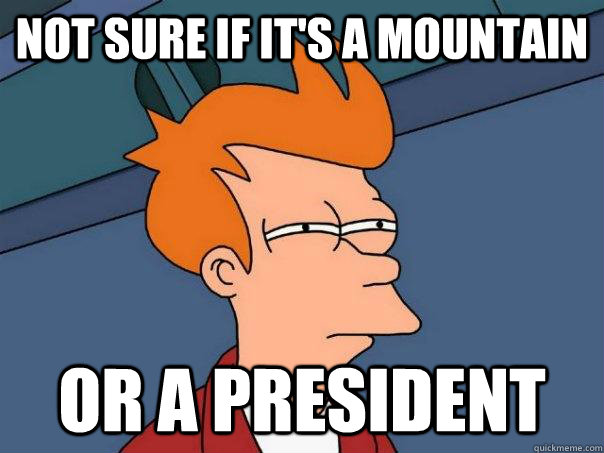 Not sure if it's a mountain or a president  Futurama Fry