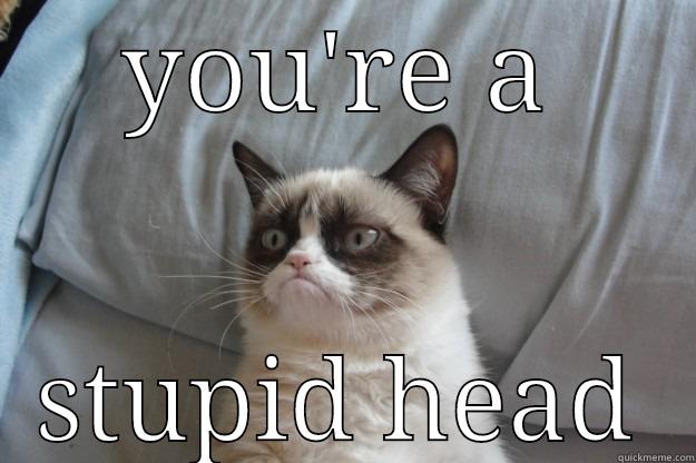 YOU'RE A STUPID HEAD Grumpy Cat