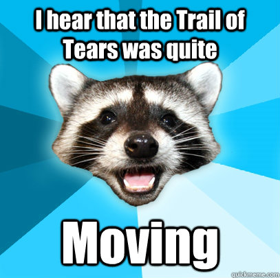 I hear that the Trail of Tears was quite Moving  Lame Pun Coon